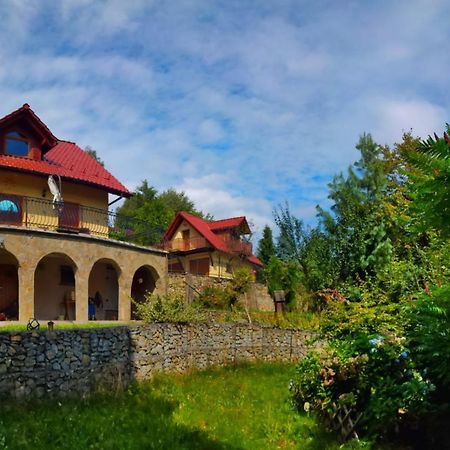 Willa Nad Jeziorem 61 Żywiec Esterno foto
